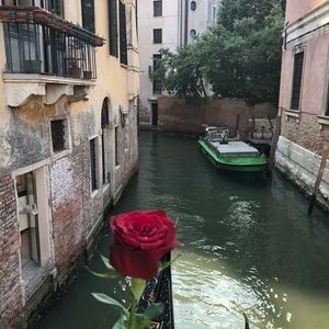 Meet your Posher, Noosha